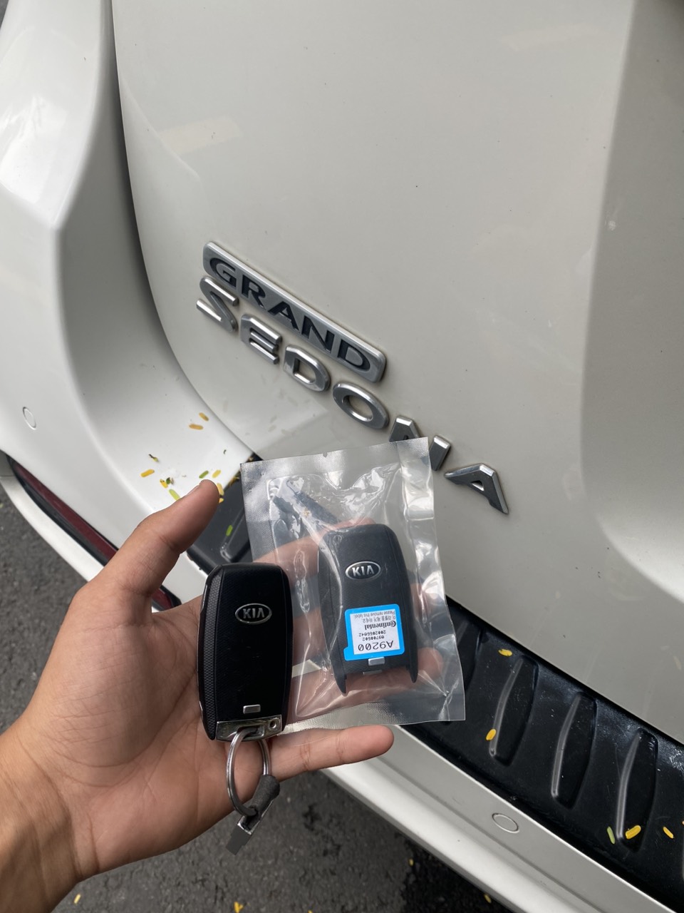 z4828564057375 9b29d3cfeea6fe42f3026446ac6793f1